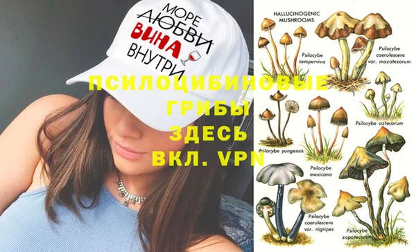 дмт Белоозёрский