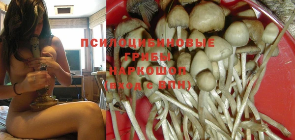 дмт Белоозёрский