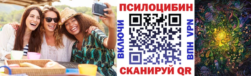 Галлюциногенные грибы GOLDEN TEACHER Купить закладки Кремёнки